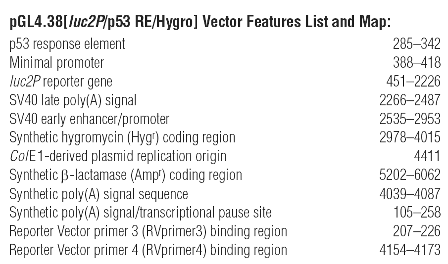 pGL4.38 载体特征